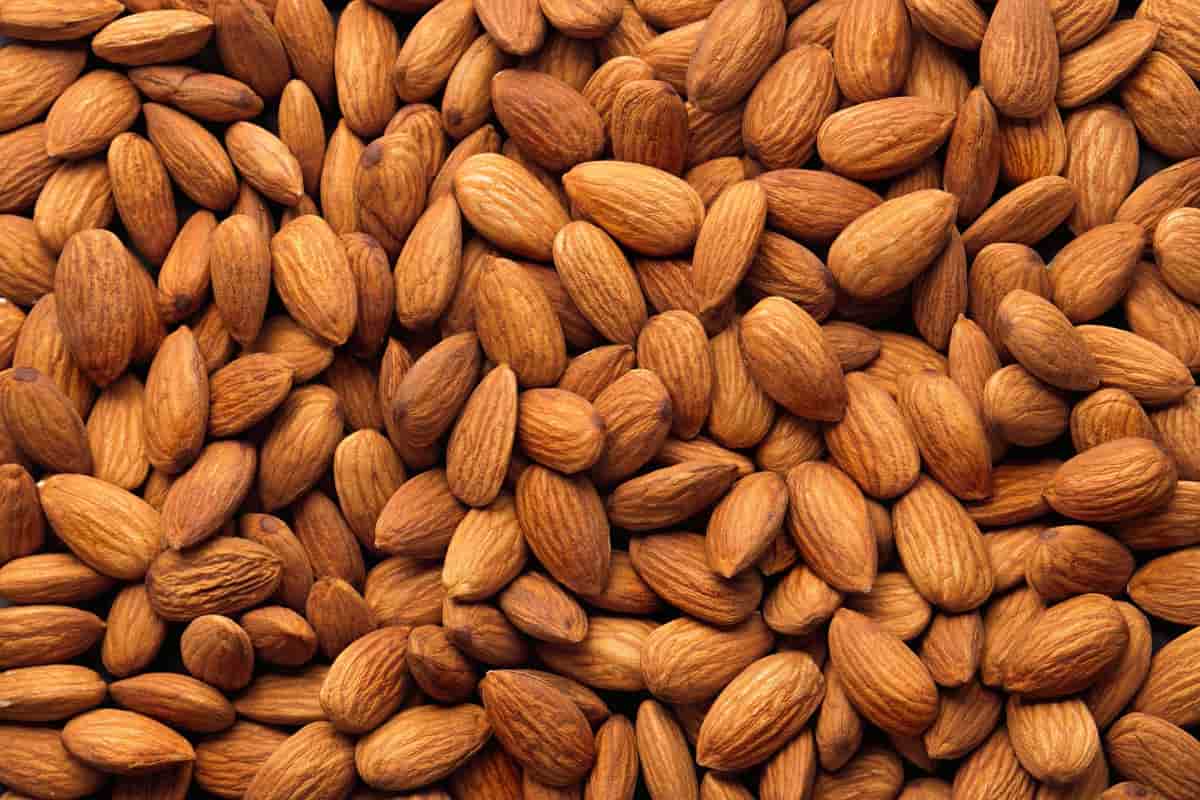 Kirkland Almonds in Sm (Natural) Available 4 Types Raw Salted Roasted Peeled