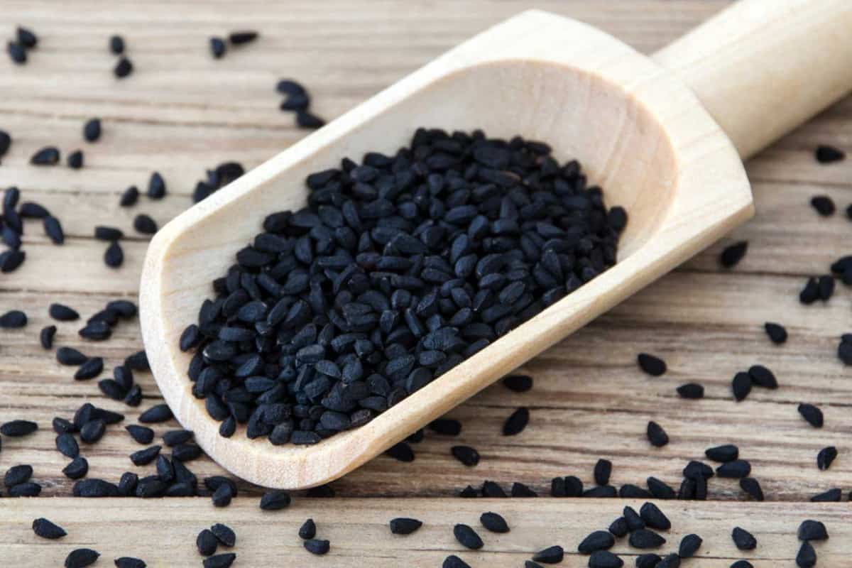 Black Cumin in Bangalore (Nigella Sativa) Antioxidants Vitamins Source Immune System Booster