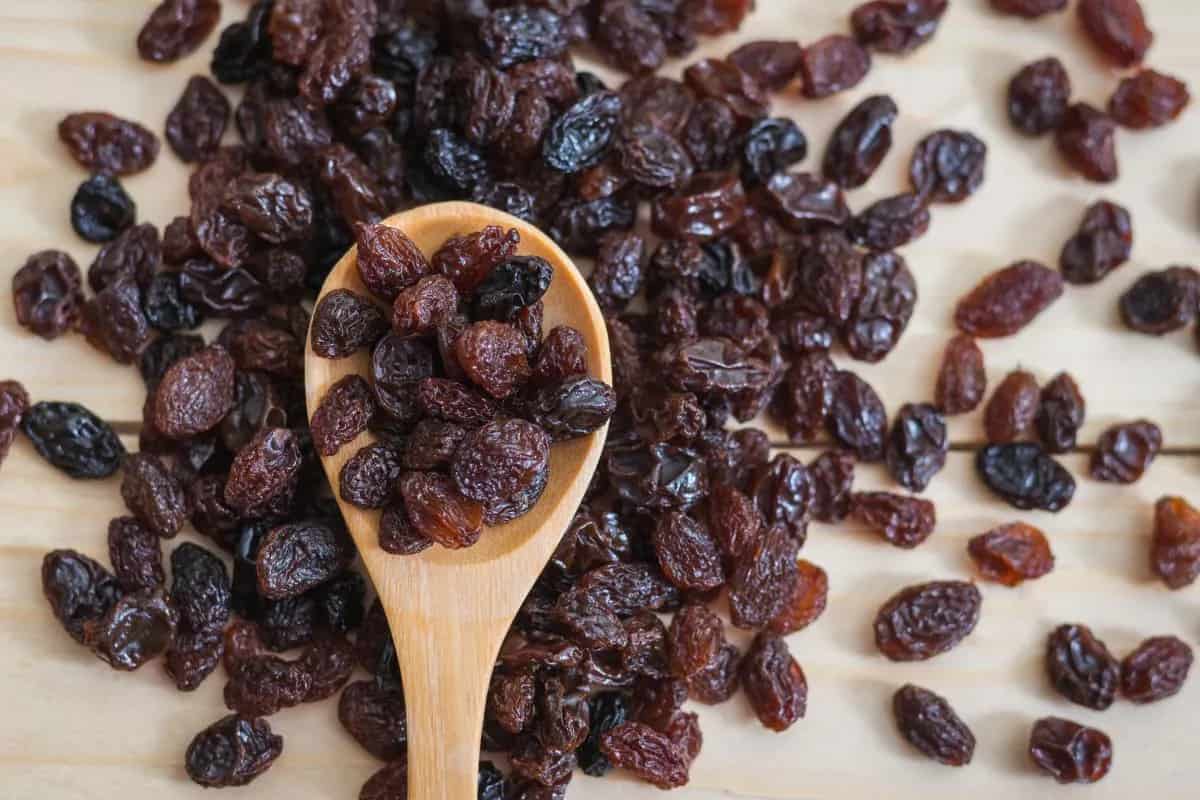 Brown Raisins in India; Plump Wrinkled Texture Selenium Zinc Source  Immune System Improver