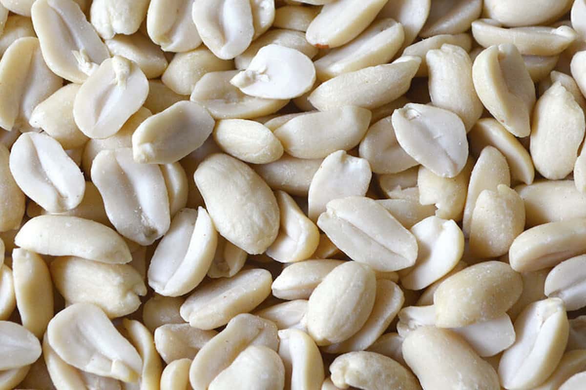 Blanched Peanut; Contains Polyunsaturated Fats Protein Vitamins E B6 Antioxidants High Calories