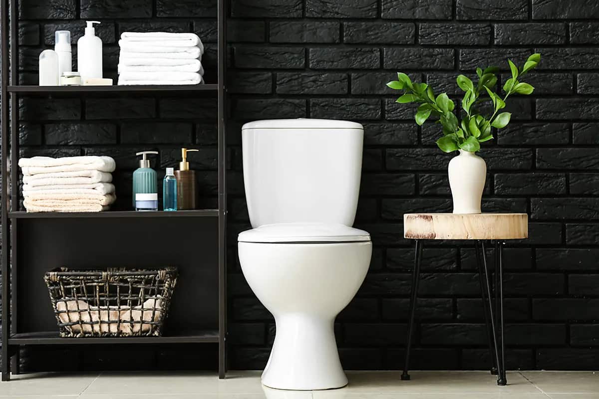 Ceramic Toilet Bowl; Vitreous Porcelain Material Non Porous Detergents Resistant