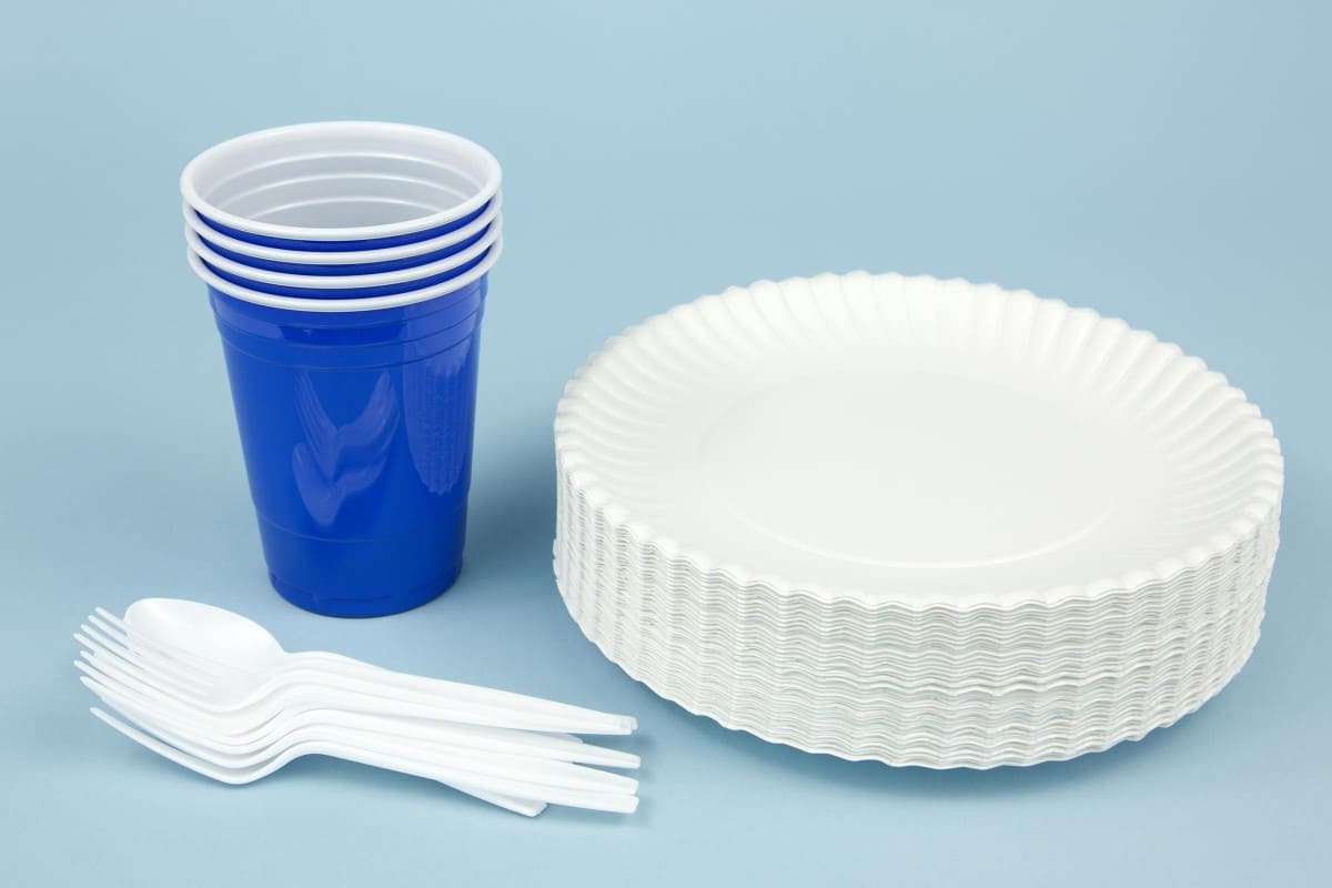Eco Friendly Disposable Plates; Paper Plant Based Safe Materials Water Resistant