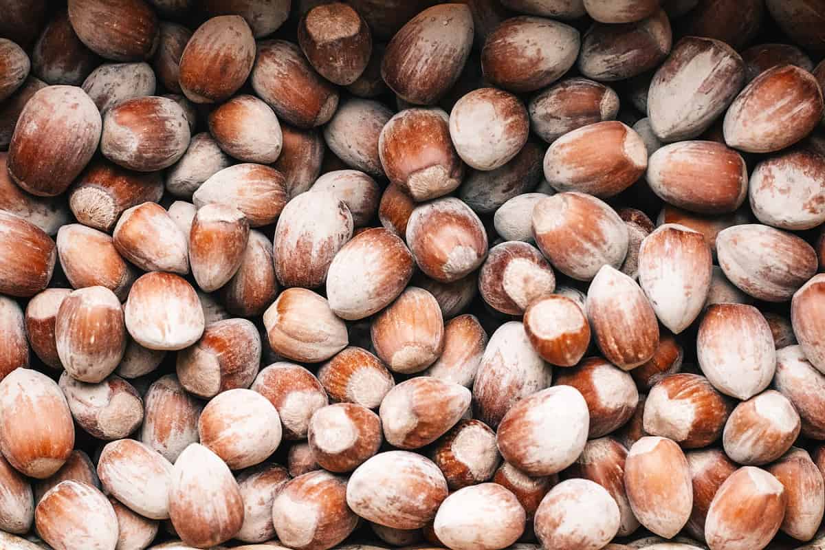 Hazelnuts in Kenya; Antioxidants Fiber Vitamins Source 3 Types Raw Roasted Salted