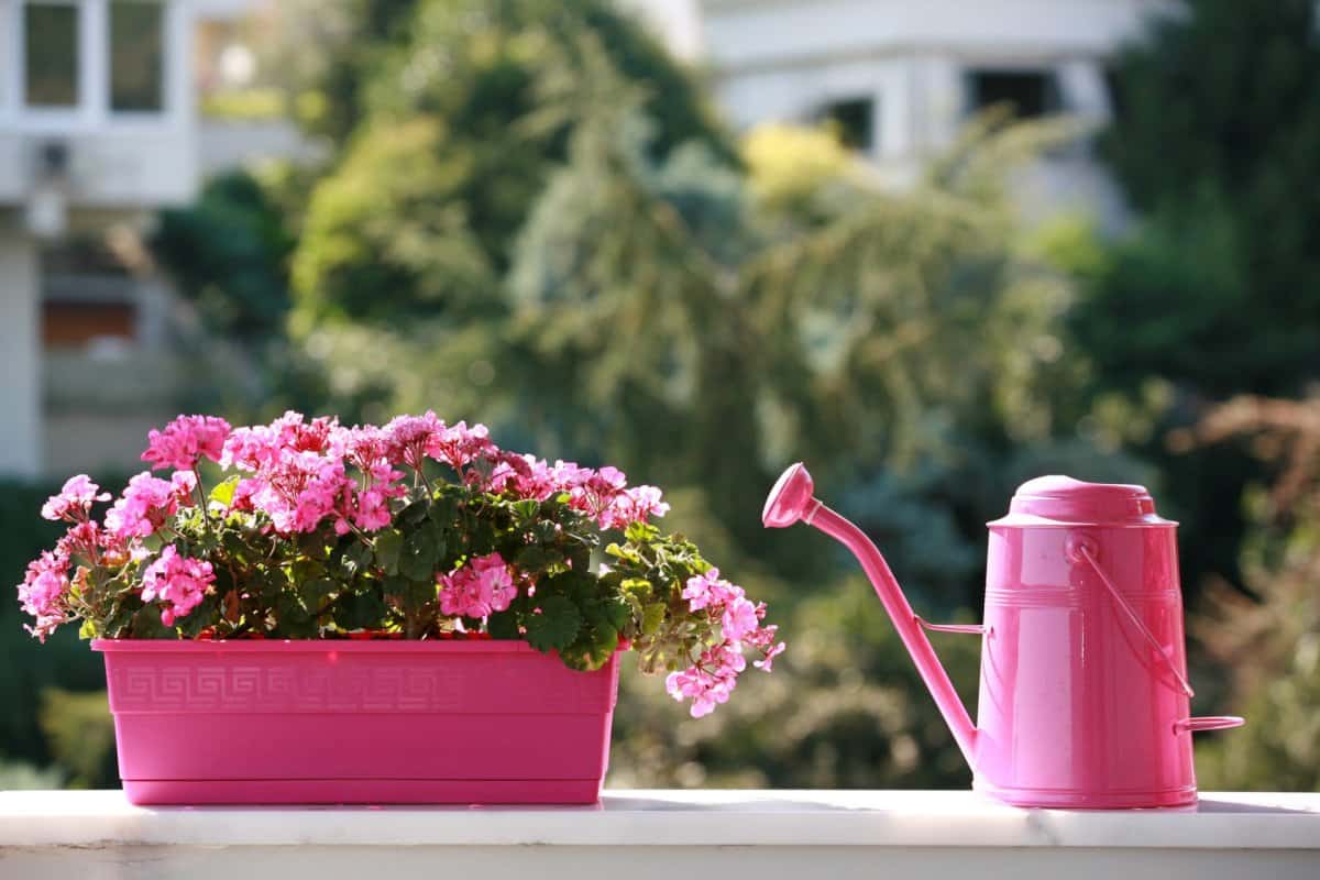 Plastic Flower Pot in Nepal; Flexible Robust Durable Material Lightweight