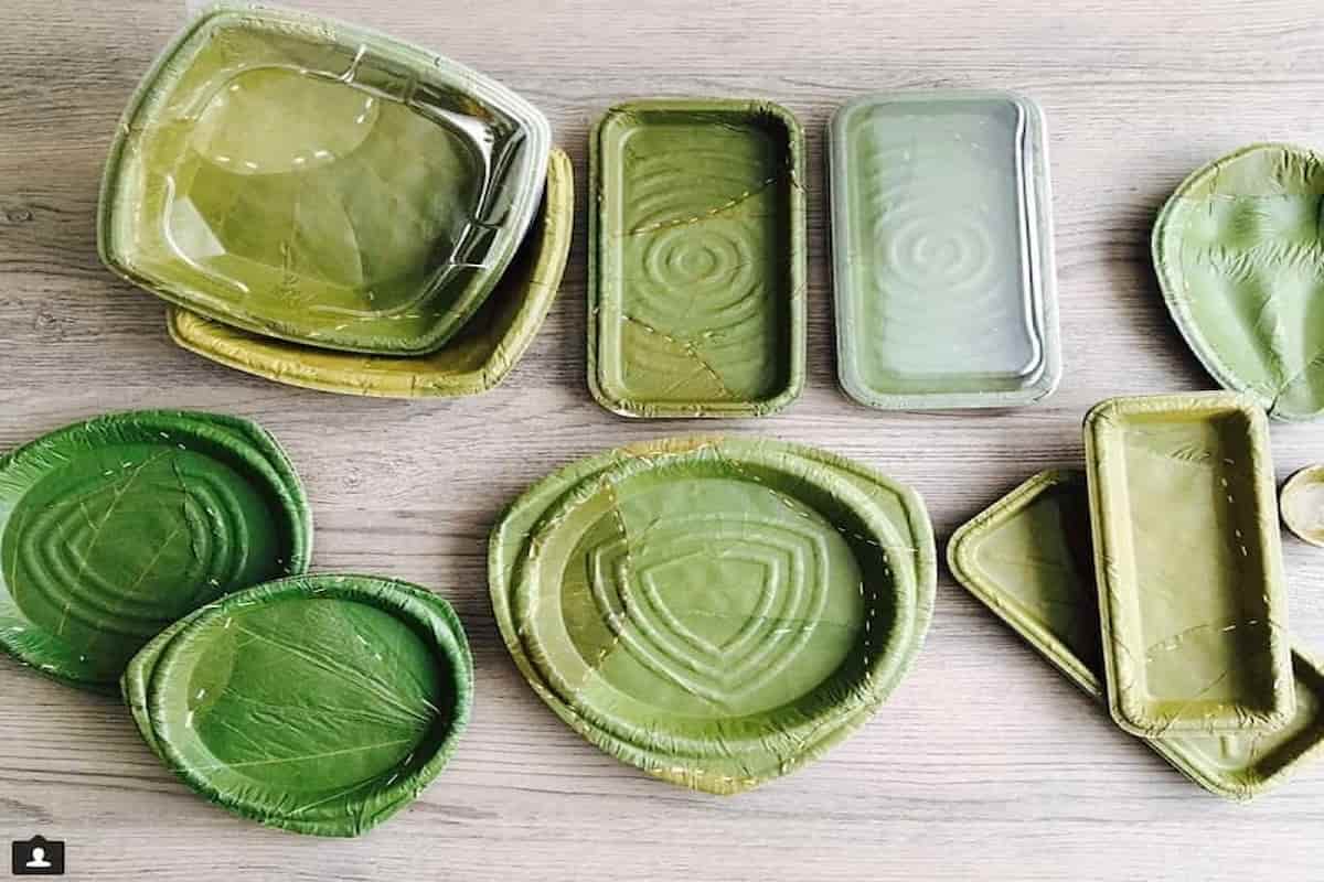 Leaf Disposable Plates in India; Paper Plastic Material Naturally Fallen Leaf Hand Crafted