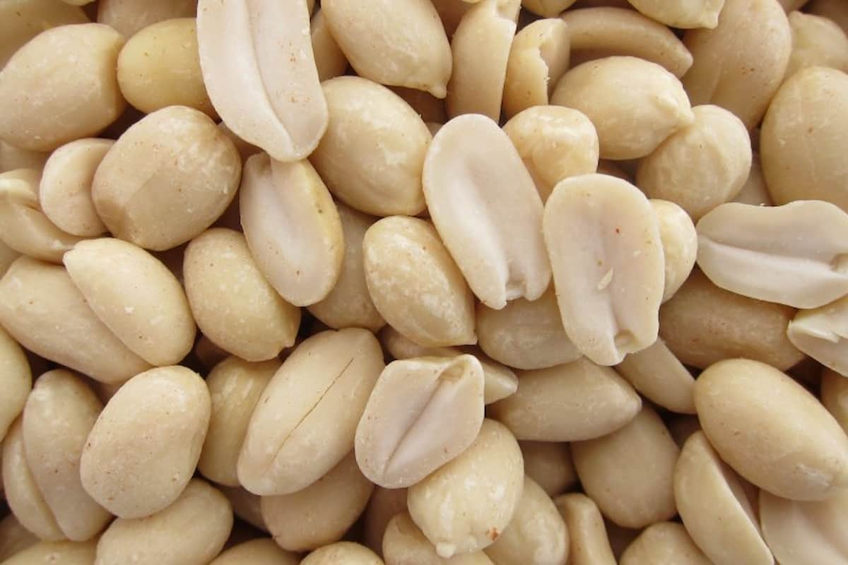 Blanched Peanut in India; Zinc Copper Proteins Amino Acids Source Distinctive Taste