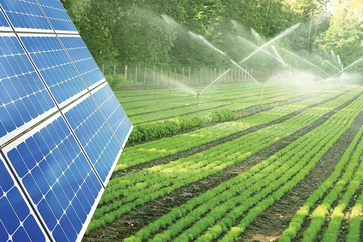 Solar Irrigation Pump in Nigeria; Easy Setup Public Spaces Hotels Usage