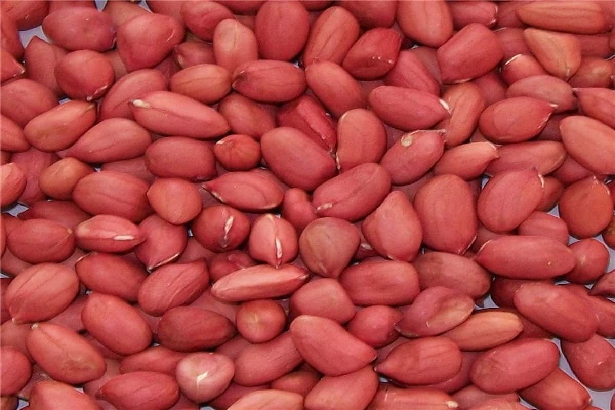 Raw Peanut in Delhi (Goober) Contain Niacin Folate Increase Body Resistance