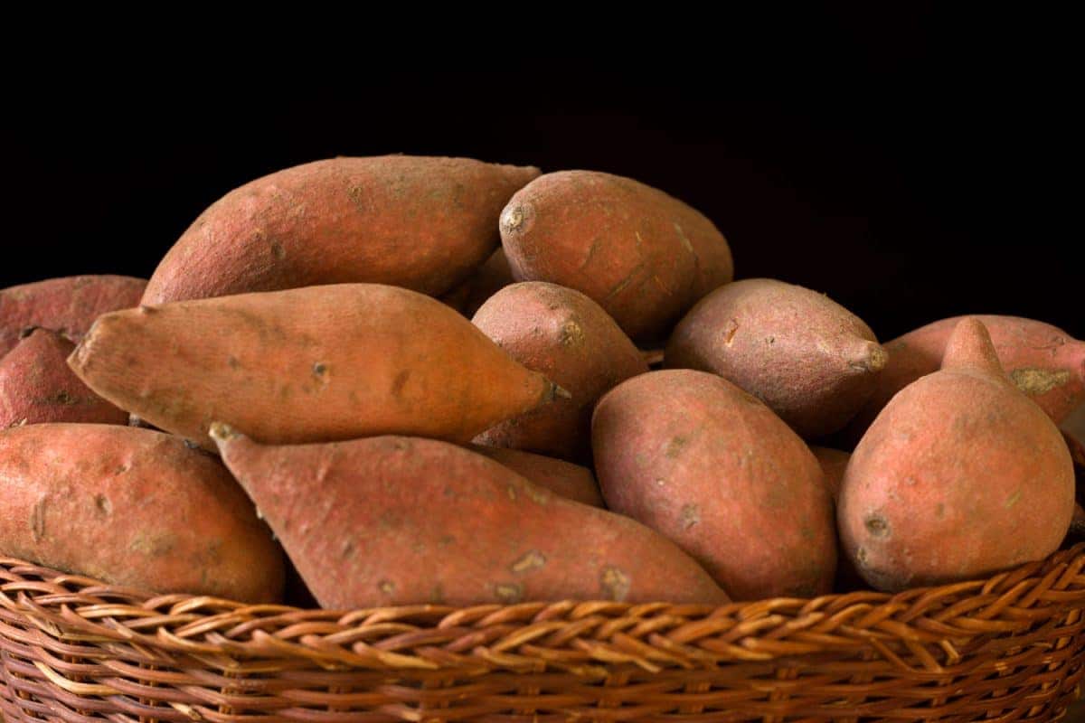 Sweet Potato per kilo Philippines 2023 (Yams) Vitamins A C Immune System Protector