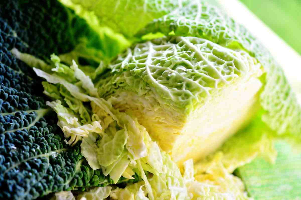 Today Cabbage in Delhi; Vitamins A C K Wounds Inflammation Treatment