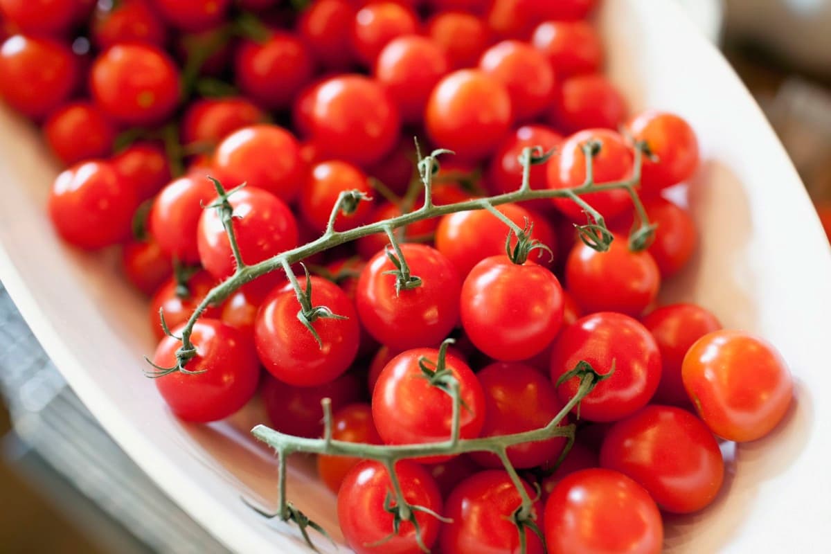 Cherry Tomato Per Kg in India (Cerasiforme) Sweet Flavor Small Round Shape Low Calorie
