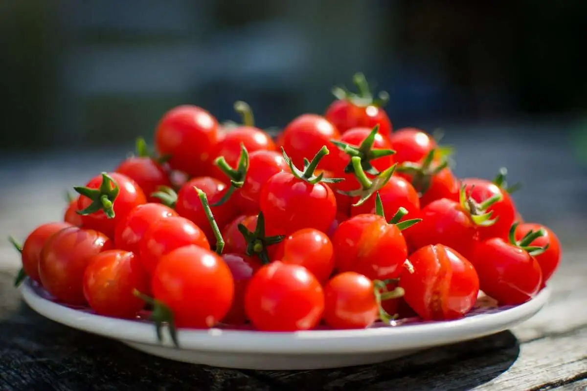 Cherry Tomato per kg in Pakistan (Korean Persimmons) Anti Cancer 4 Vitamin A B C K