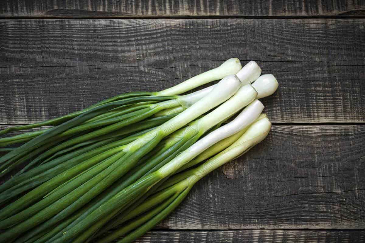 Spring Onion in Sri Lanka (Scallions) White Round Appearance High Antioxidants Mild Flavor