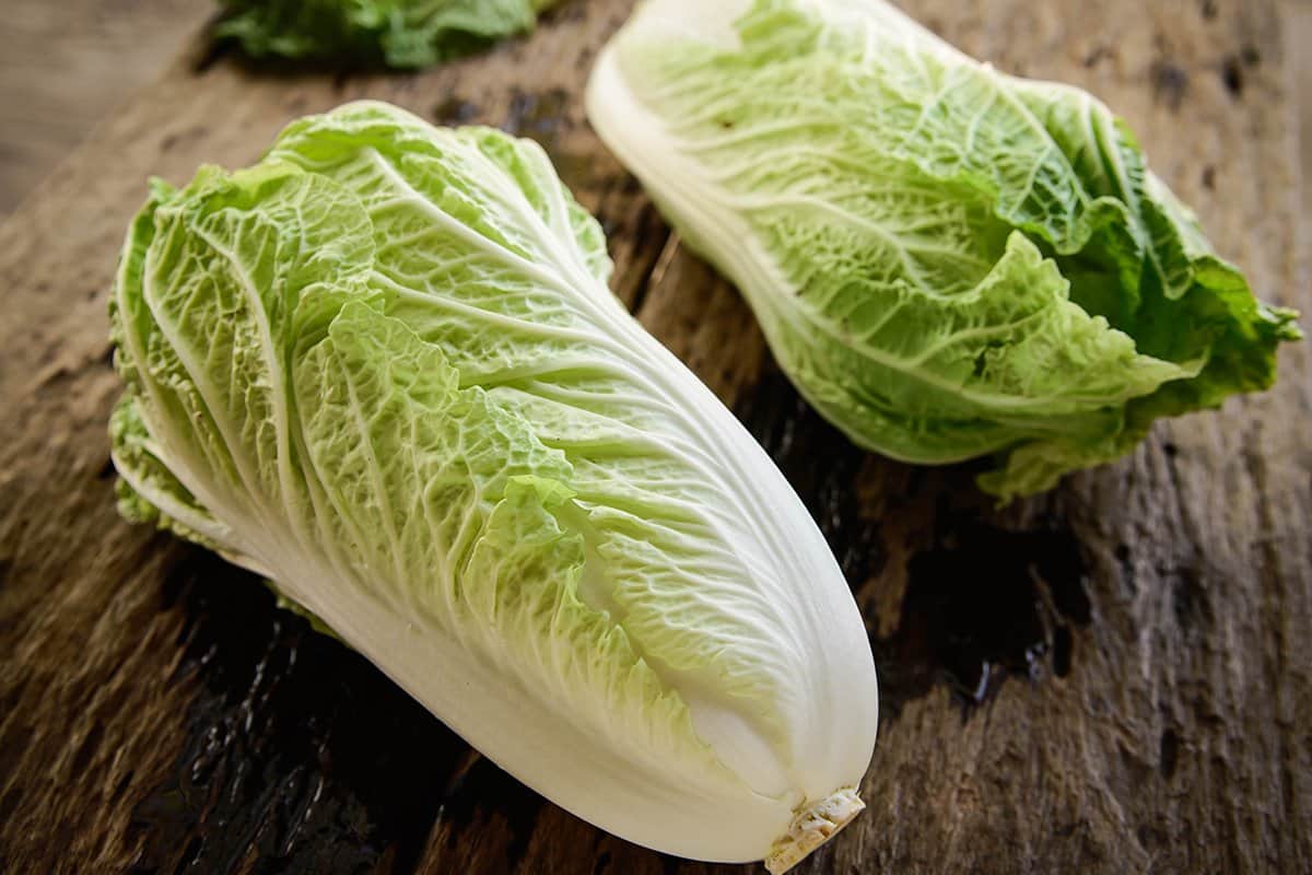 Chinese Cabbage per Pound; Mildly Sweet Taste White Crunchy Stem Green Leaves