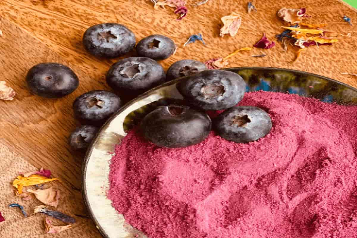 Blueberry Extract Powder; Dark Pinkish Red Vitamin Mineral Rich Prevent Aging