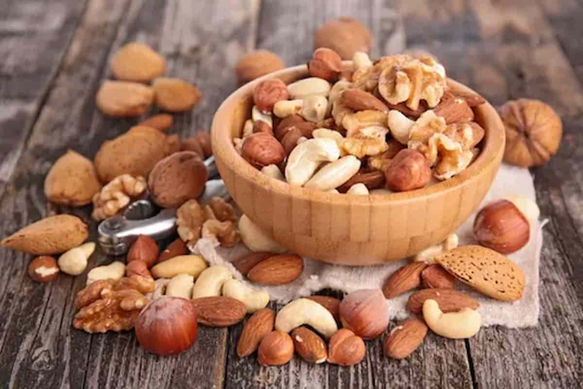 hazelnut kernel zero best kinds of nuts