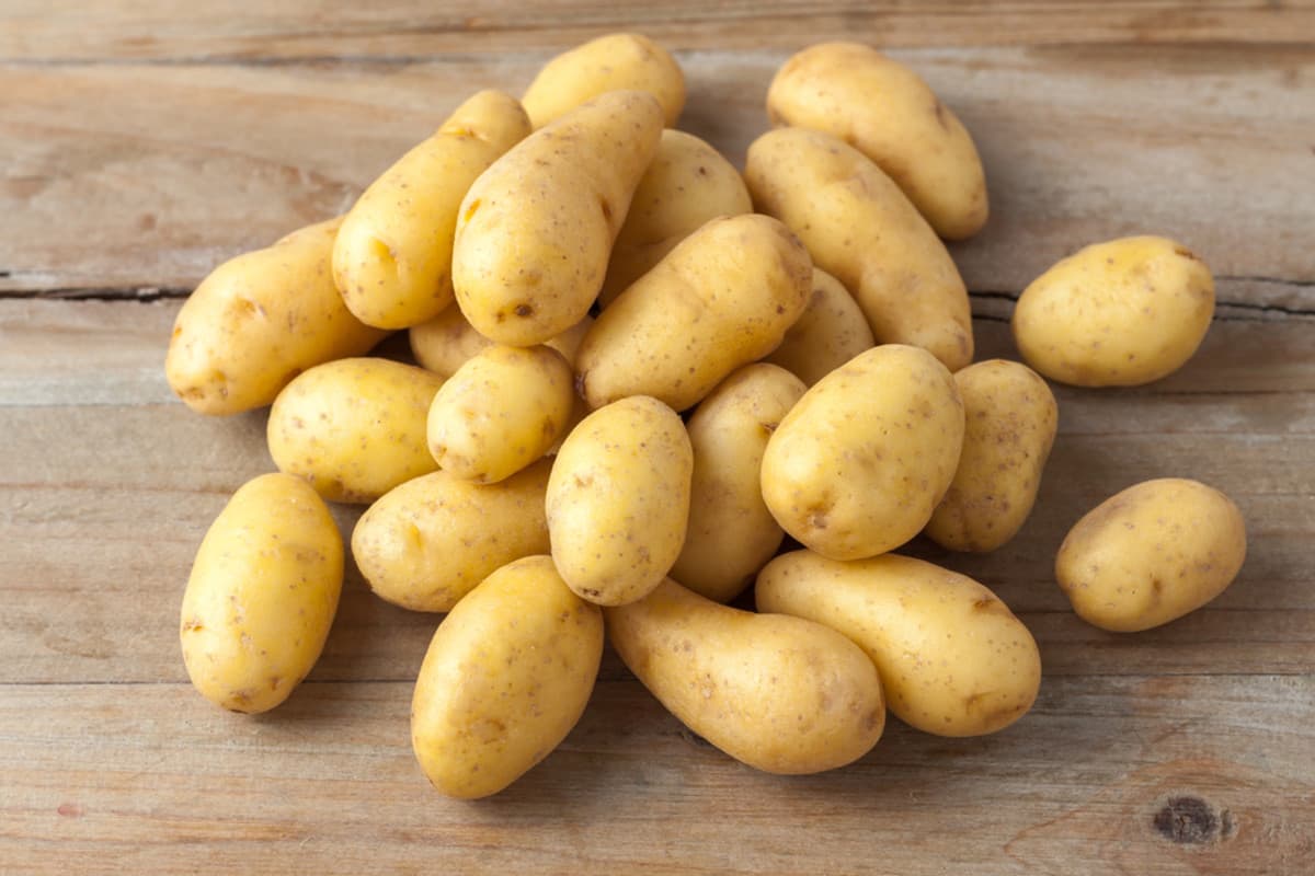 Fresh Potato Today; Fiber Vitamin B6 Source Low Calorie Strengthening Immune System