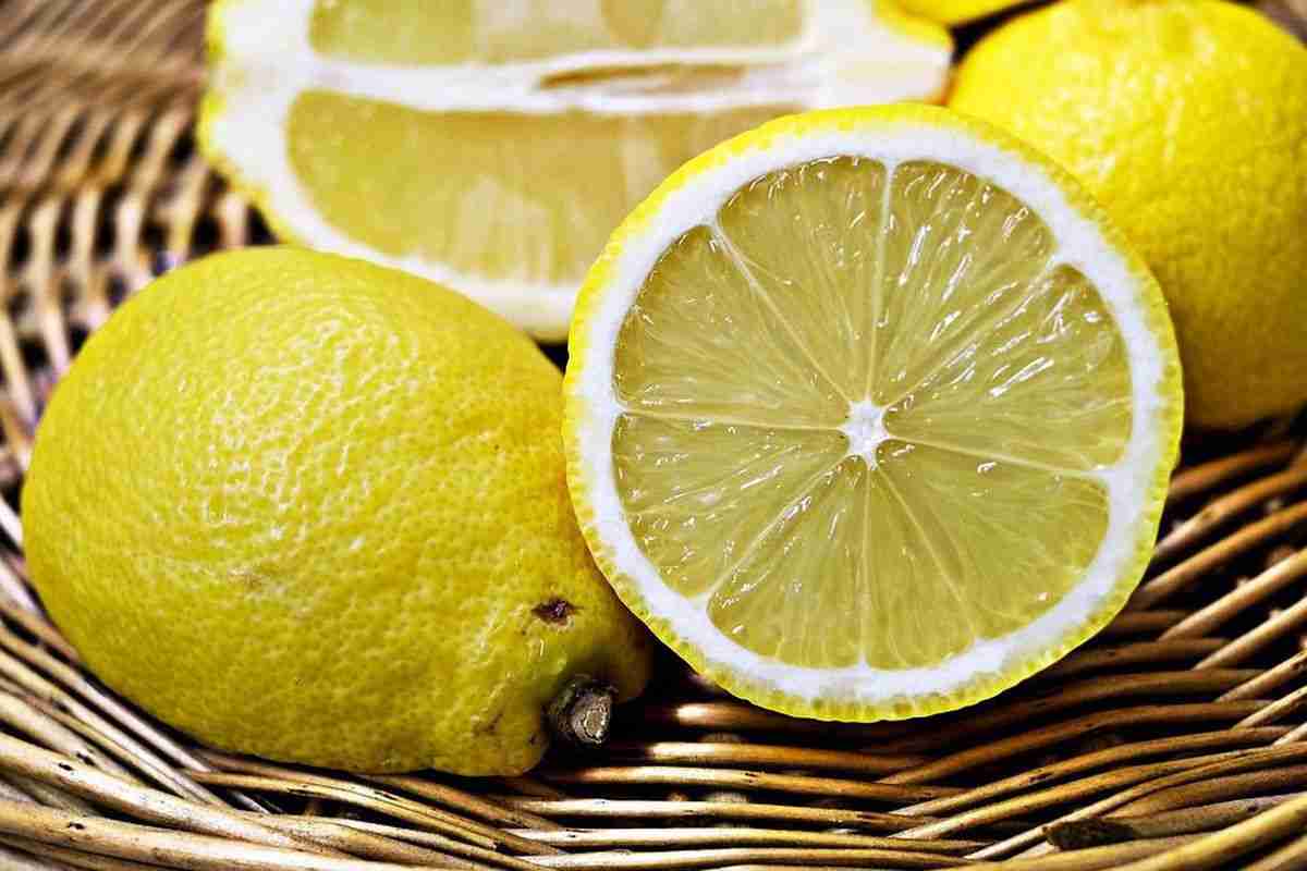 Price reference of sweet lemon types + cheap purchase