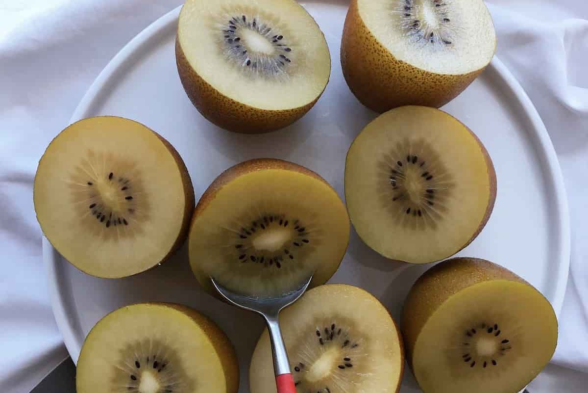 Purchase and price of wholesale golden sour kiwi