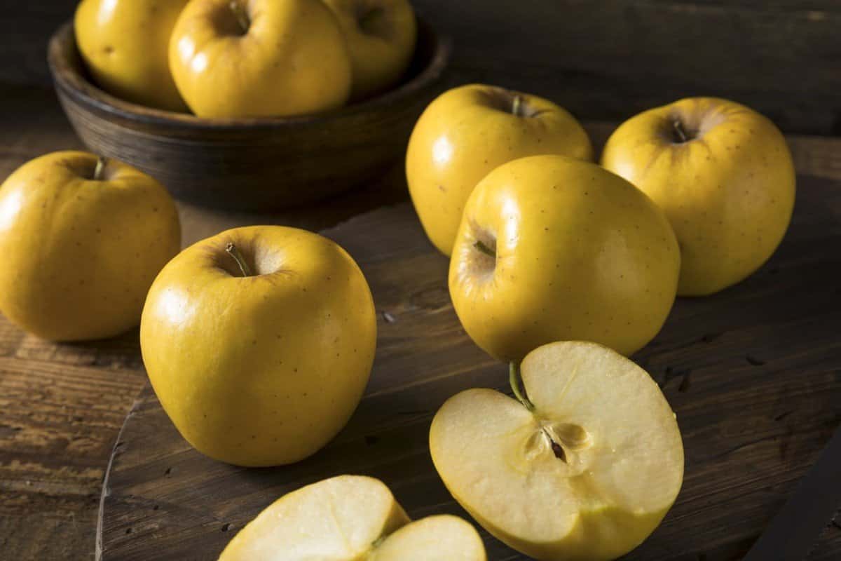 Stock Golden apple fruit in Spanish in different sizes