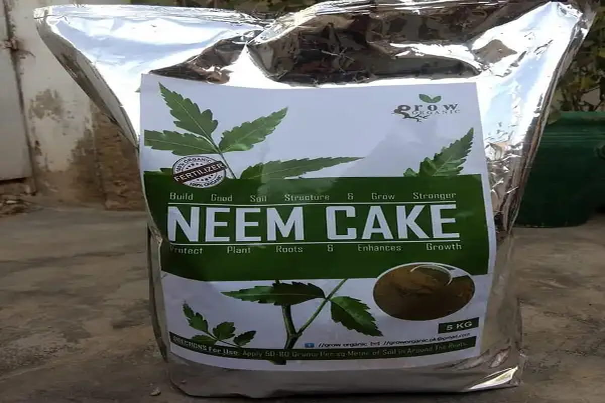 Neem Cake 1Kg; Calcium Magnesium Sulfur Content Insect Larvae Reducer