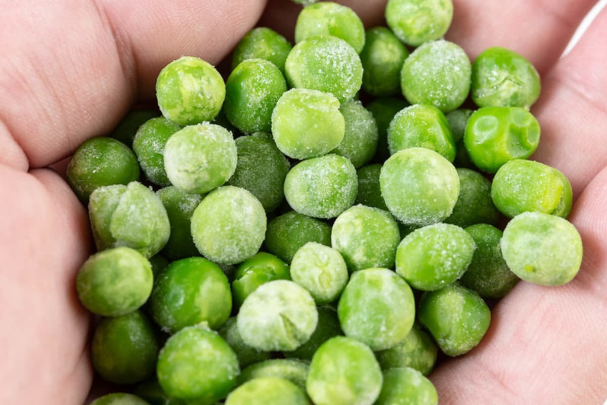 Frozen Green Chickpeas (Pisum sativum) Zinc Vitamins B E K Source