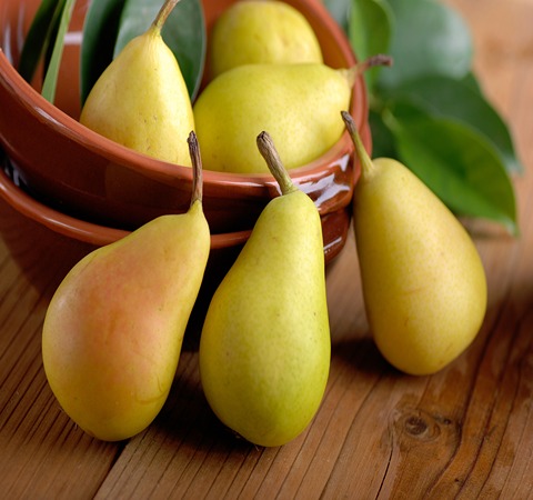 Yellow Pear Specifications and How to Buy in Bulk
