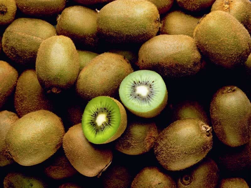 Golden Kiwi Fruit Purchase Price + Photo