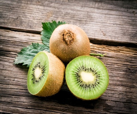 The Purchase Price of kiwifruit plants + Advantages And Disadvantages