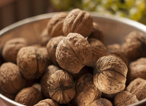 Dark Persian Walnut Specifications and How to Buy in Bulk
