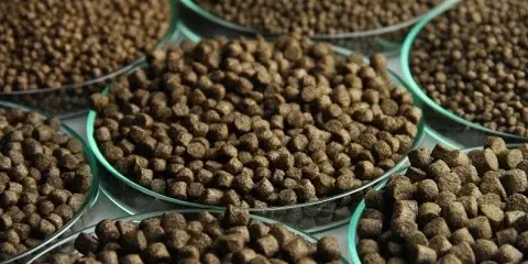 Cash Purchase of ‏Aquatic Feed for Export to Turkey