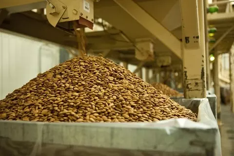Purchase of 10-kilogram Cartons of Almonds