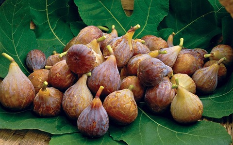 Are Dried Figs Alkaline? Unlock the Truth