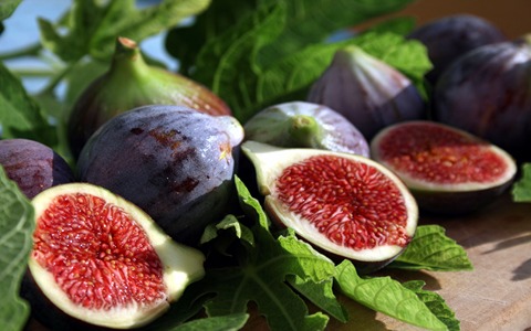 Are Figs Good for GERD? Let's Elaborate on It