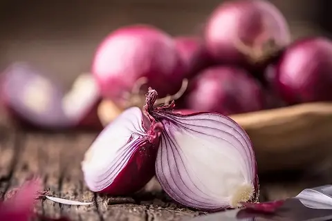 Purchase of Red Onions Size 55
