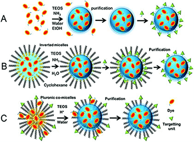 Dye-doped silica nanoparticles in the immunodiagnostics domain