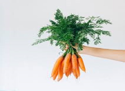 carrots Specifications and How to Buy in Bulk