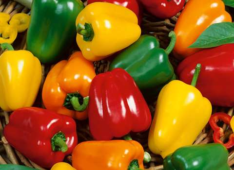 Learning to Buy Colored bell peppers from Beginning to End