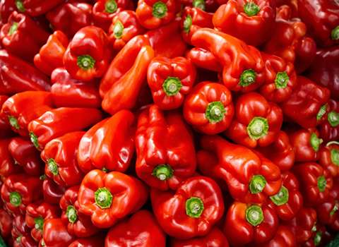 Price and Purchase Bell pepper with Complete Specifications