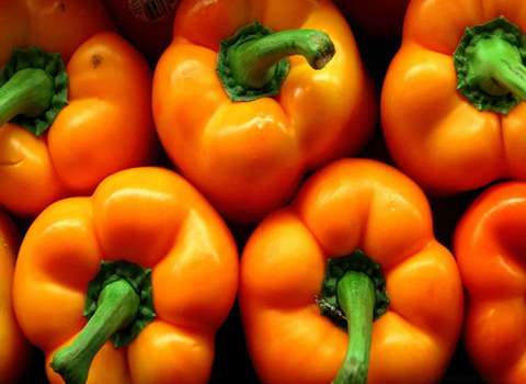 Orange bell peppers with Complete Explanations and Familiarization
