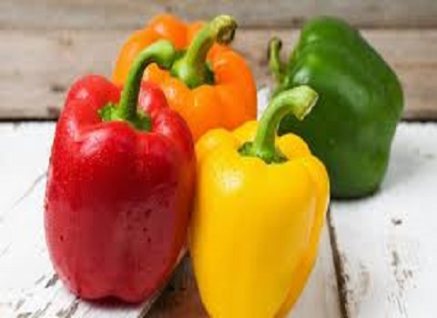 Bell peppers Specifications and How to Buy in Bulk