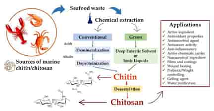 Who is the supplier of chitosan in Canada?
