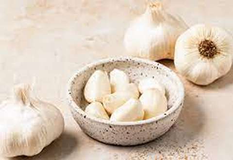 Bulk Purchase of garlic with the Best Conditions