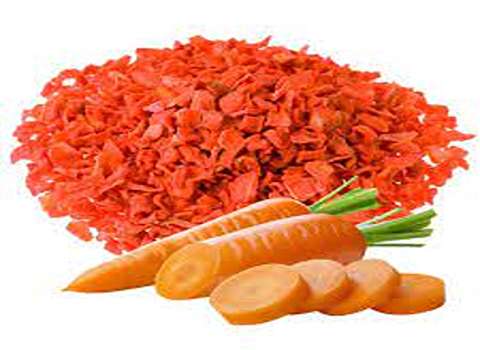 Dried carrot with Complete Explanations and Familiarization