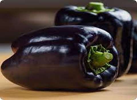 Purple peppers with Complete Explanations and Familiarization