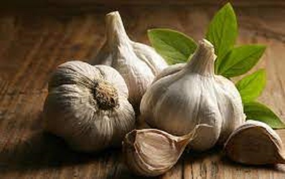 garlic Price List Wholesale and Economical