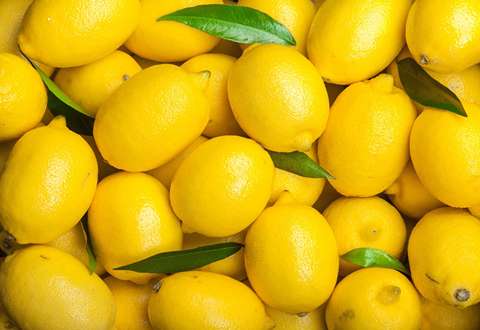 Price and Purchase  lemon with Complete Specifications