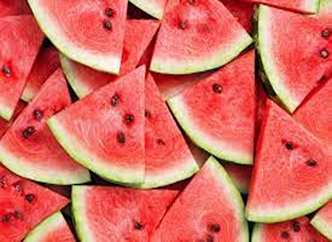 watermelon Price List Wholesale and Economical