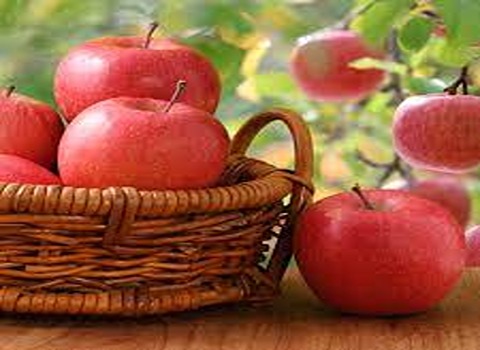 Fuji Apples Specifications and How to Buy in Bulk