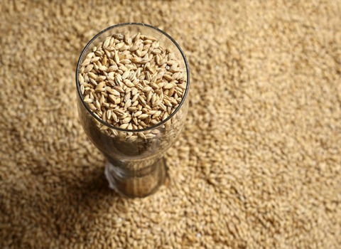 Barley Sawiq List Wholesale and Economical